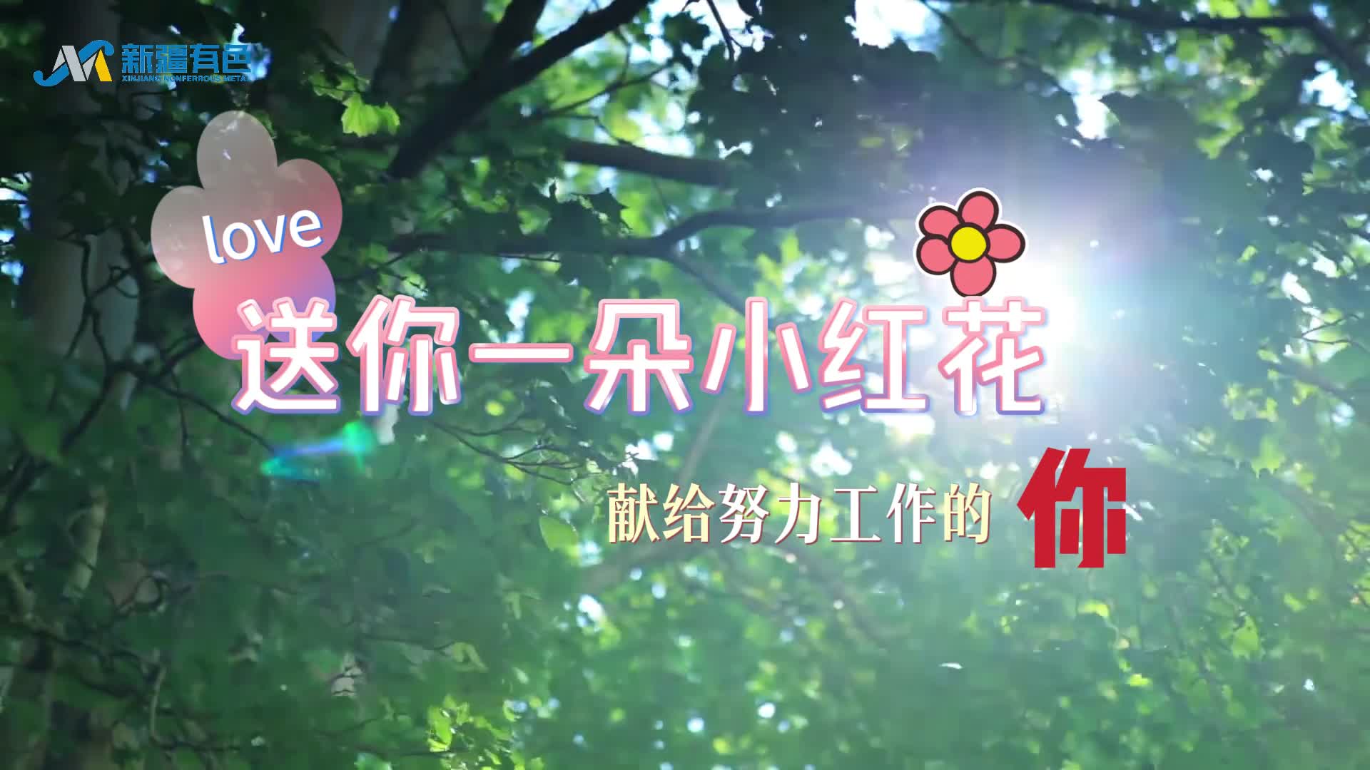 威斯尼斯wns888入口(中国游)官方网站